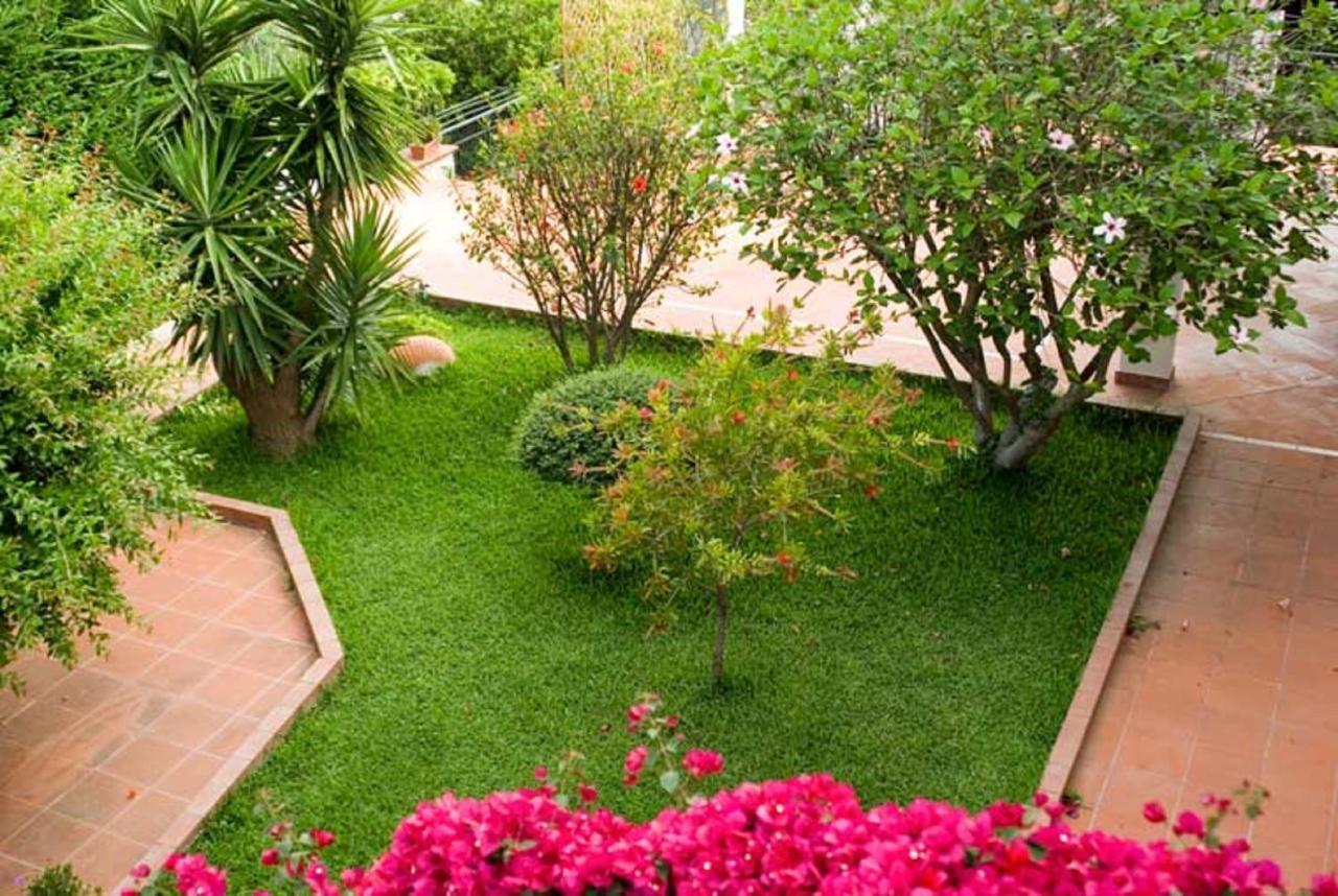 B&B Hibiscus Agropoli Dış mekan fotoğraf